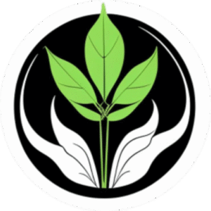 www.vendorkratom.com