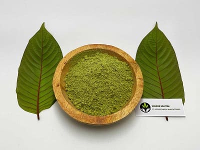 Jemně mletý kratom prášek vhodný pro velkoobchodní použití