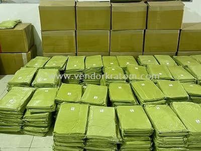 Kratom verpakkingslijn in magazijn – efficiënte verwerking en opslag voor export en groothandel.