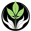 www.vendorkratom.com