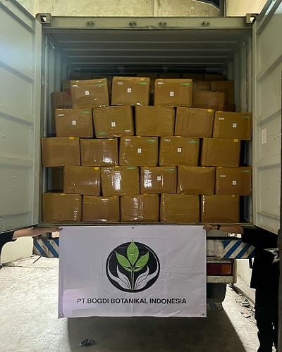 International kratom shipping for wholesale distribution